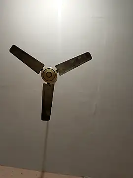 monarani5986 online show from 01-31-26, 08:18