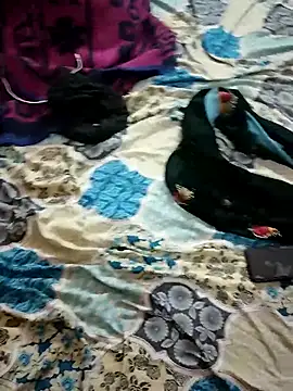 monarani5986 online show from 11-20-25, 06:30