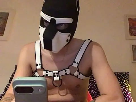 cruiserpup online show from 10-05-25, 09:22