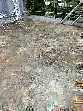 Aaisha-16 online show from 09-29-25, 02:07