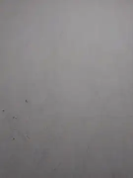 sweet bella16 online show from 11-02-25, 07:46