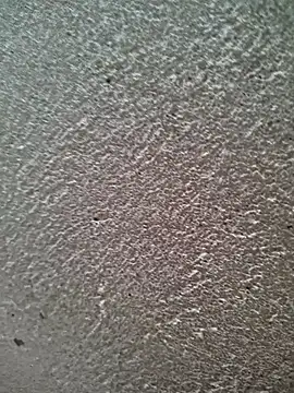 bold guy 1234 online show from 03-30-26, 06:04