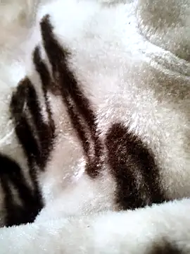 bold guy 1234 online show from 12-17-25, 05:34