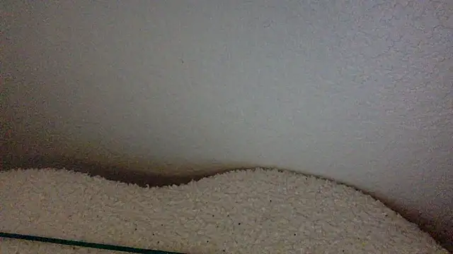 Texxaspearl online show from 03-31-26, 12:51