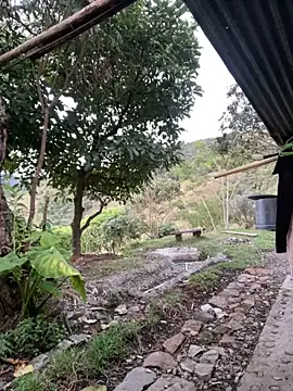 sky-wolves online show from 10-02-25, 10:57