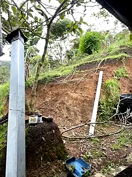 sky-wolves online show from 11-05-25, 05:49