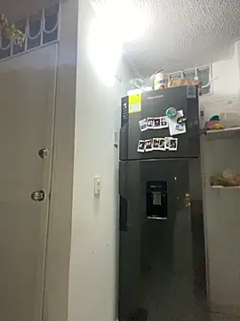 camila1 torres  online show from 12-19-25, 03:21