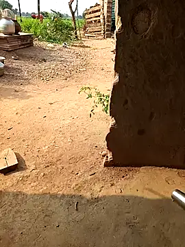 Km kalpna online show from 09-19-25, 03:10