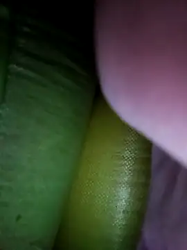 Km kalpna online show from 10-08-25, 10:21