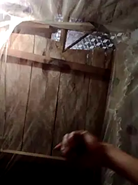 Snapshot of donna-bae chatting on 02-22-26, 10:33 donna-bae online show from 02-22-26, 10:33