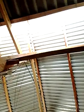 donna-bae online show from 03-19-26, 04:34