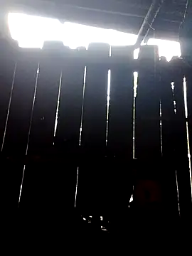 donna-bae online show from 10-10-25, 11:16