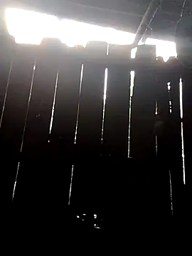 donna-bae online show from 10-10-25, 11:05