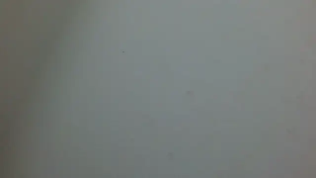 Snapshot of cristal1609 chatting on 05-14-26, 01:08 cristal1609 online show from 05-14-26, 01:08