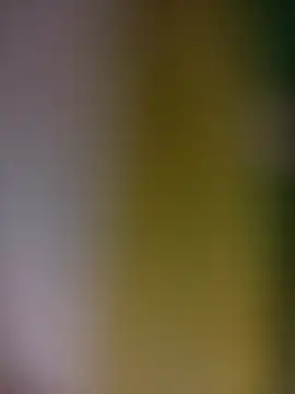 tulipsexy online show from 02-19-26, 03:36