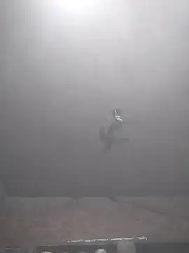 Hott cutgirl online show from 11-15-25, 04:00