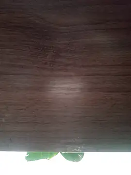 ValeriaLove43211 online show from 05-21-26, 12:24