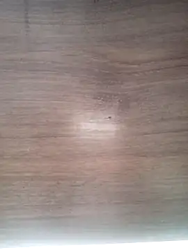 ValeriaLove43211 online show from 03-31-26, 07:21