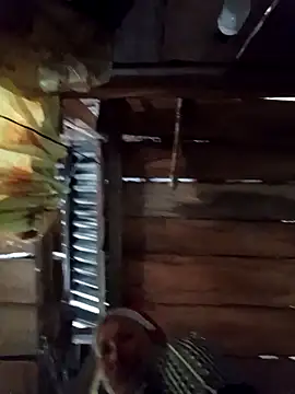 callistra online show from 04-09-26, 04:36