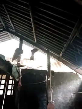 Biu xx online show from 12-20-25, 12:57