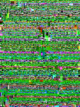 Alan18cmsafado online show from 09-22-25, 03:45