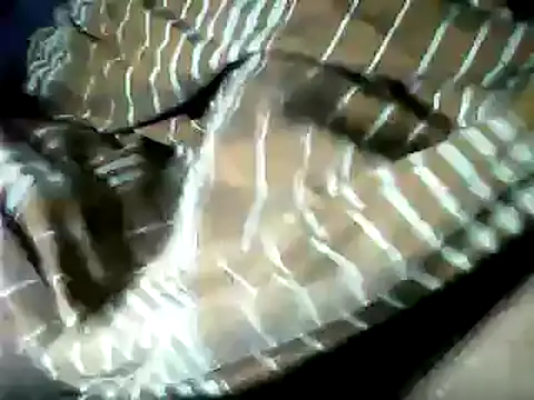 Snapshot of DailyRoadma chatting on 10-01-25, 01:15 DailyRoadma online show from 10-01-25, 01:15