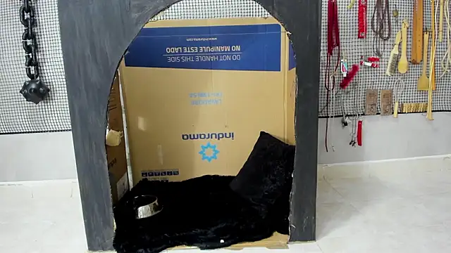 BDSM MEDUZA online show from 02-05-26, 11:28