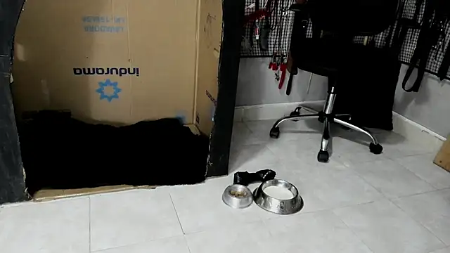 BDSM MEDUZA online show from 02-23-26, 03:30