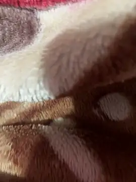 satisfyursoul online show from 11-26-25, 05:02