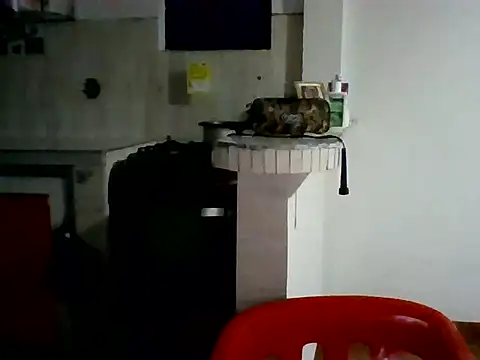 Snapshot of XavierFox1 chatting on 11-18-25, 03:43 XavierFox1 online show from 11-18-25, 03:43