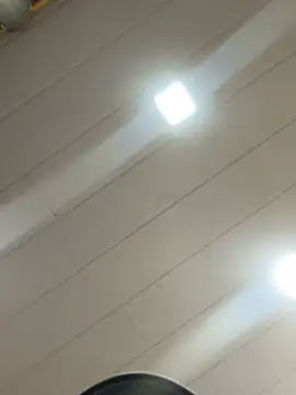 Snapshot of Noamilk chatting on 02-13-26, 08:31 Noamilk online show from 02-13-26, 08:31