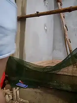 phuongxinhxan online show from 03-22-26, 12:25