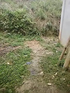 phuongxinhxan online show from 03-24-26, 01:27