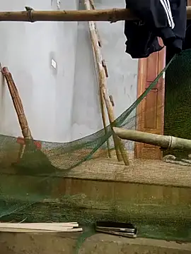 phuongxinhxan online show from 03-21-26, 01:18