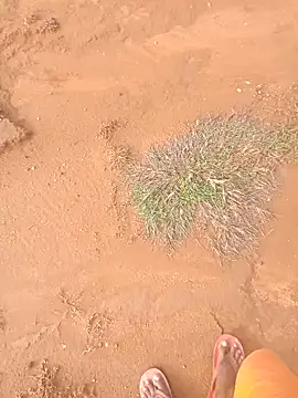 AgitatedStrip9 online show from 09-22-25, 02:28