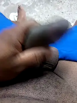 preto3561 online show from 02-10-26, 02:16