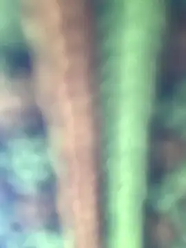 Halyy xx online show from 01-08-26, 06:52