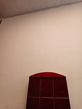 Snapshot of SALOME-28_ chatting on 10-11-25, 01:34 SALOME-28 online show from 10-11-25, 01:34