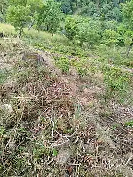 DICKLANKA online show from 09-23-25, 08:32