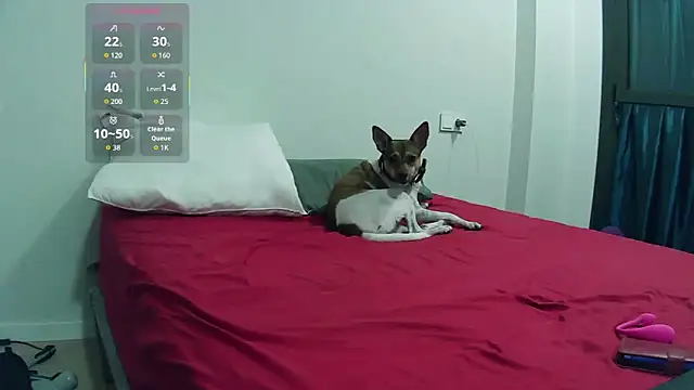 Catylandi1 online show from 11-14-25, 10:35