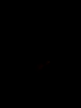 Sumitx007 online show from 10-01-25, 04:44
