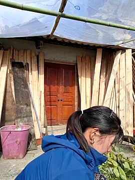 diamond-- online show from 11-14-25, 07:23