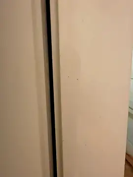 hhhajjib online show from 11-17-25, 05:17