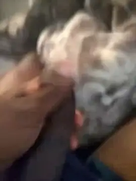 Blackveins32 online show from 11-04-25, 09:46