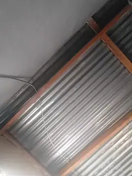 Blackveins32 online show from 04-11-26, 06:32