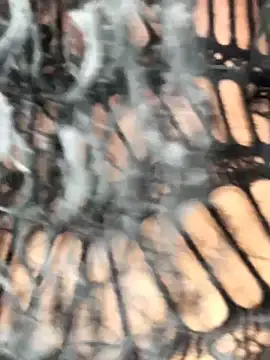 Fun size86 online show from 12-20-25, 05:27