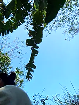 dorothyxx online show from 12-01-25, 03:51