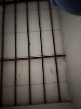 Yakpatiya7788 online show from 03-20-26, 05:03