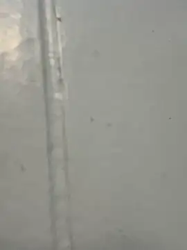 Foxy-lover online show from 10-13-25, 02:02