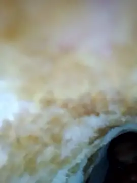 alone boy802 online show from 10-30-25, 06:23